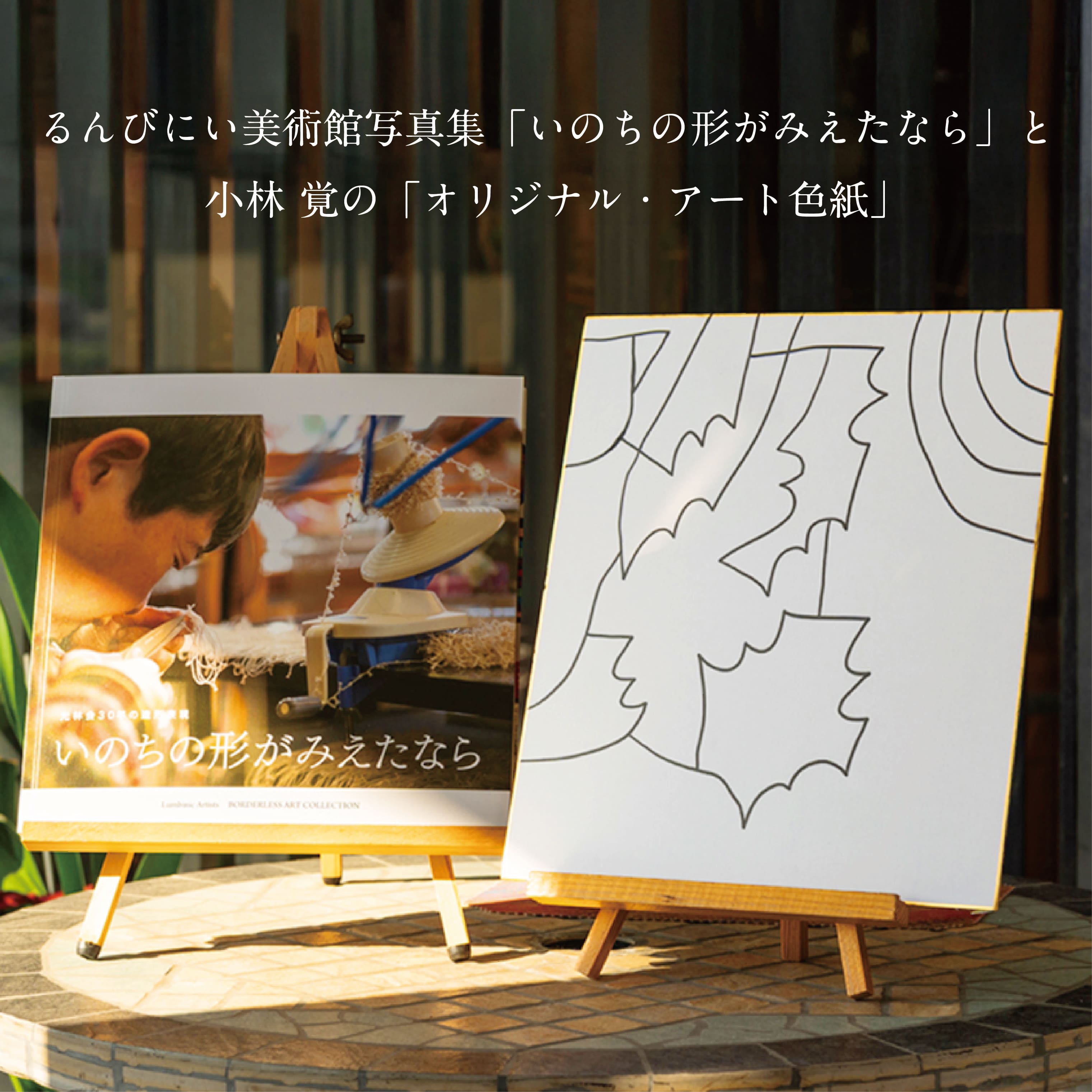 【ふるさと納税】るんびにい美術館写真集「いのちの形がみえたなら」小林覚の「オリジナル・アート色紙」 ルンビニー アート 花巻市