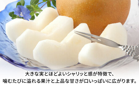 【先行予約】秋月梨　約1.8kg 梨 ナシ フルーツ 果物 【日本フルーツ株式会社】[ZFJ061]