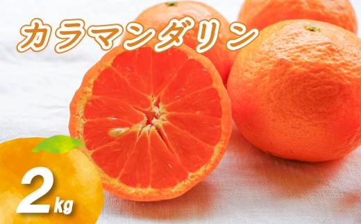 【2027年4月下旬頃から順次発送】カラマンダリン 2kg | 数量選択可 みかん ミカン 蜜柑 柑橘 数量限定 愛媛県産 松山市 中島 愛媛 送料無料