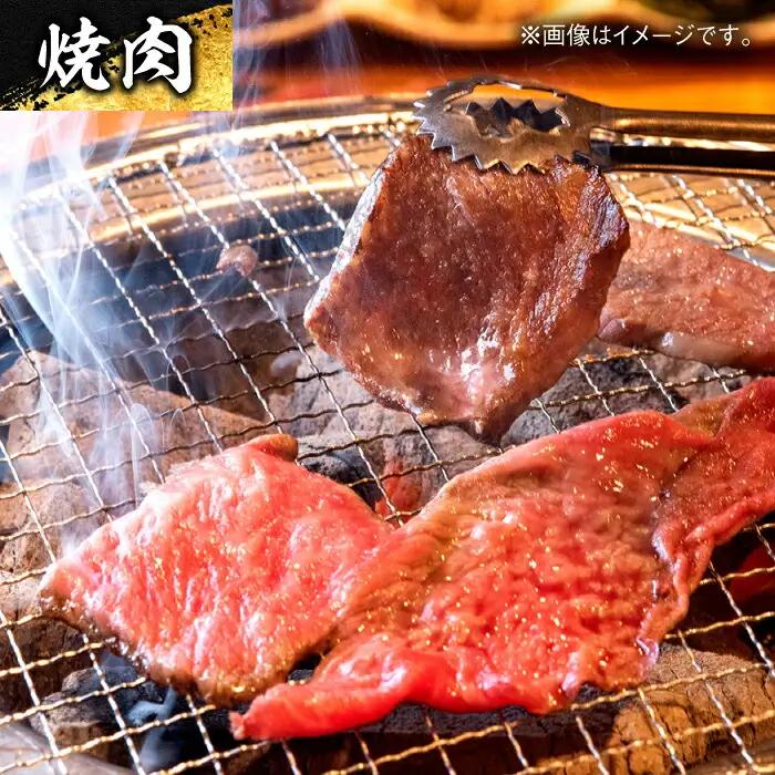 エイジング工法 熟成肉 土佐あかうし 特選赤身 ブロック 約500g 冷凍 【株式会社LATERAL】 [ATAY011]