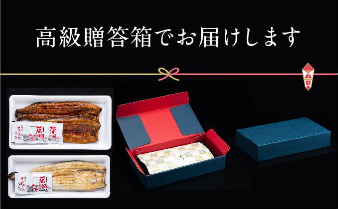 浜名湖産 朝じめ鰻 溶岩焼きコンビセット 約140g×3尾（蒲焼