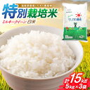 【ふるさと納税】【新米：令和6年産】滋賀県 低農薬栽培 ミルキークイーン 白米 5kg×3袋　滋賀県長浜市/有限会社もりかわ農場 [AQBL020] 米 お米 白米 新米 15kg ※着日指定不可