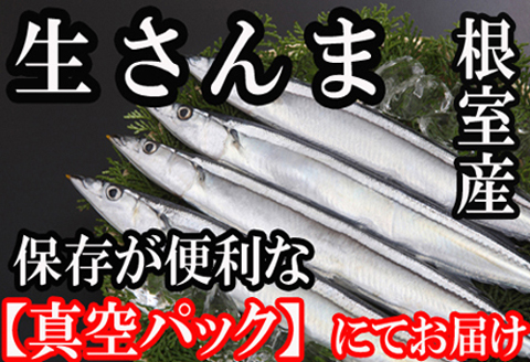 【北海道根室産】さんま30尾 B-36005