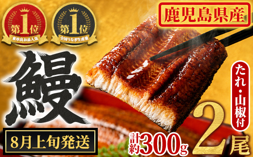 【0104347a-2608】＜8月上旬発送予定＞東串良町のうなぎ蒲焼(無頭)(2尾・計約300g・タレ、山椒付) うなぎ 高級 ウナギ 鰻 国産 蒲焼 蒲焼き たれ 鹿児島 ふるさと 人気【アクアおおすみ】