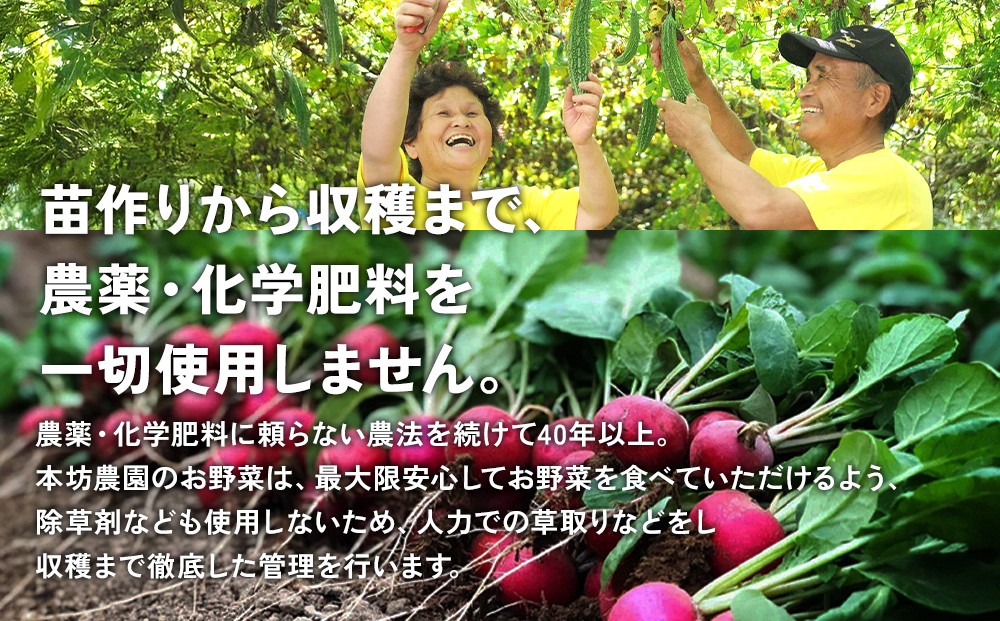 特別栽培季節のお野菜セット 8品