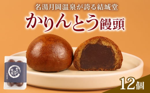 かりんとう饅頭 12個入 冷凍 和菓子 かりんとう まんじゅう 饅頭 あんこ 餡 スイーツ お菓子 ご褒美 贈答用 プレゼント お土産 老舗 結城堂 新潟 新発田市 yukido004_01