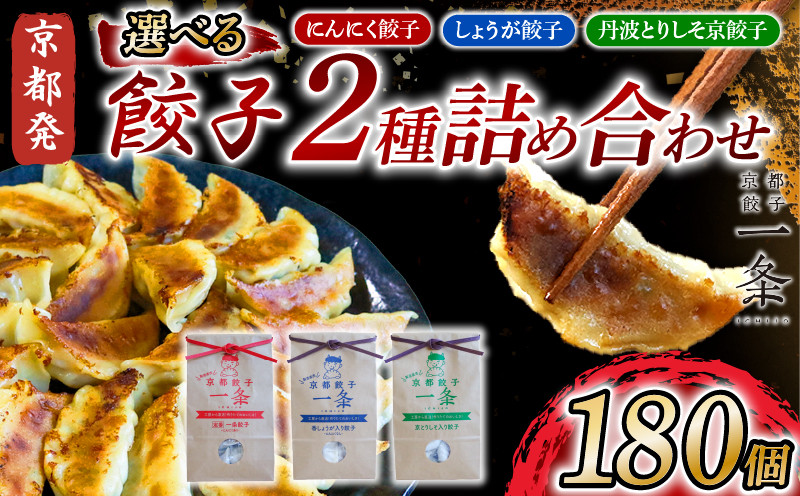 
            選べる 餃子 2種詰め合わせセット 180個 にんにく餃子 しょうが餃子 丹波とりしそ京餃子 冷凍 ぎょうざ ギョウザ ギョーザ しょうが 生姜 豚肉 便利 簡単調理 惣菜 絶品 おかず お子様 家族 こだわり餃子 餃子 人気餃子 簡易包装餃子 冷凍餃子 冷凍生餃子 京都 井手町 京都餃子一条 
          