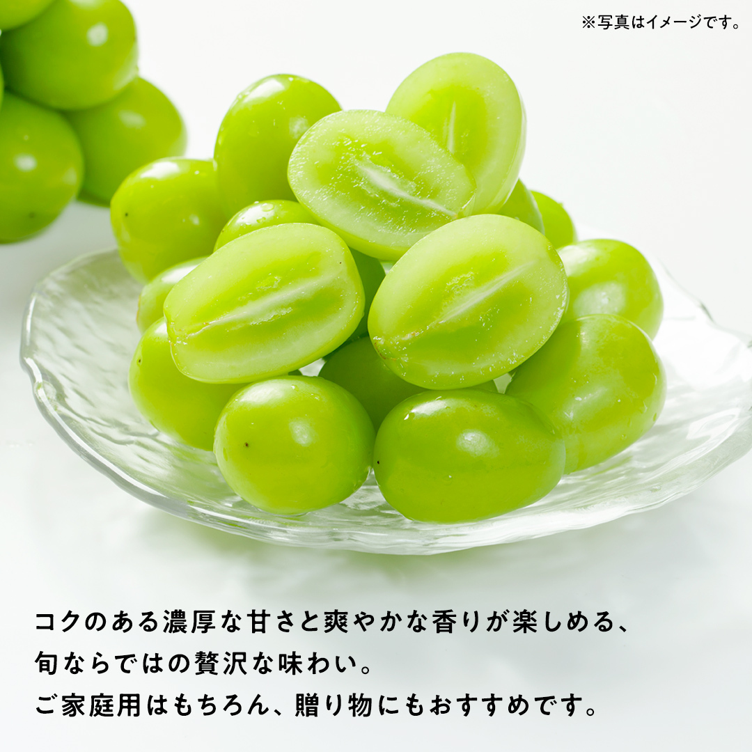 【 先行予約 ・ 数量/期間限定 】 シャインマスカット 3～4房（約2kg ） ブドウ ぶどう マスカット 種なし 皮ごと フルーツ 果物 くだもの 産直 新鮮 採れたて [CQ05-NT]_イメー