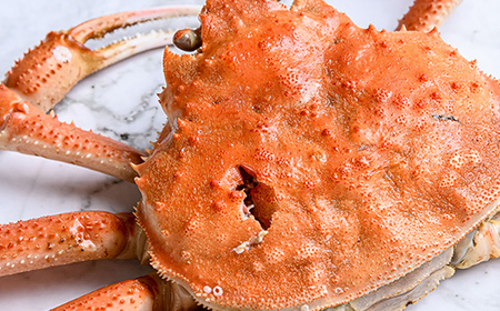 【訳あり】オオズワイガニ（ボイル済） 約20尾前後（オスメス混合）＜森水産加工業協同組合　直売所＞ かに カニ 蟹 ガニ がに ずわいがに おおずわいがに 大ずわいがに 森町 ふるさと納税 北海道 m