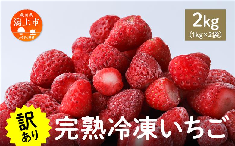 《 訳あり 》 冷凍いちご 大容量 規格外 不揃い 完熟 国産 採れたて 2kg 2袋 真空 個包装 バラ冷凍 ヘタなし 葉なし 冷凍 選べる いちご 苺 人気 送料無料