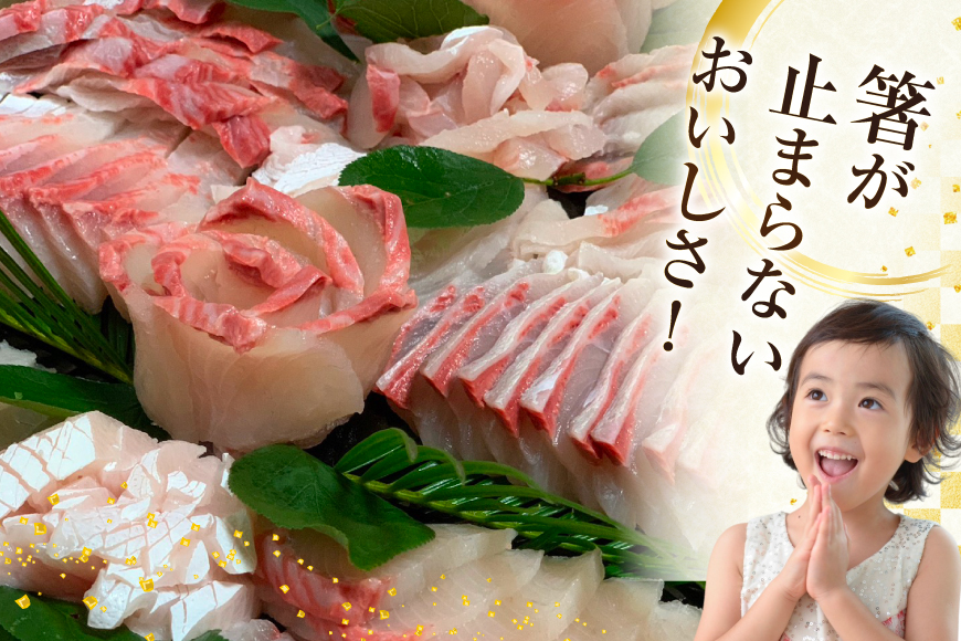 刺身 ヒラマサ 平戸なつ香 ヒラス 半身 約1kg [（株）坂野水産 長崎県 平戸市 hr42bgy420005] 魚介 さかな お刺身 刺身用 さしみ 柵 冷蔵 下処理済 簡単調理 時短 おかず フ