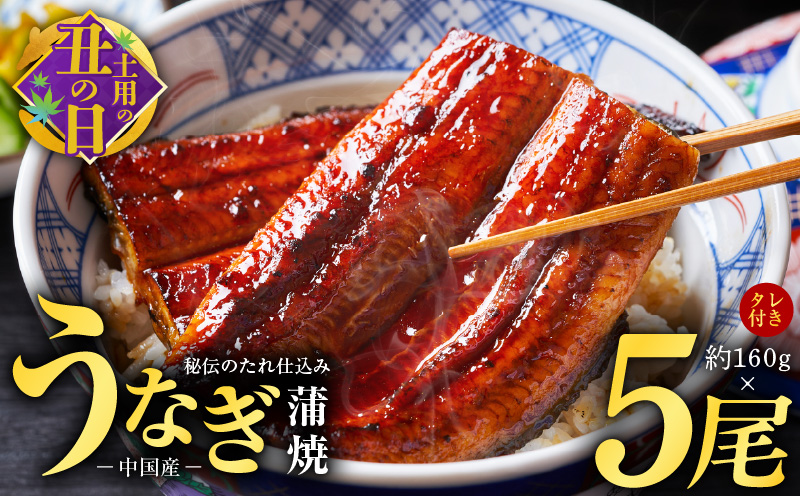 【土用の丑の日までにお届け】秘伝のたれ仕込み うなぎ蒲焼 合計800g（約160g×5尾）鰻 ウナギ 中国産 温めるだけ 簡単 レンジ調理 ふっくらふわふわ 炭火焼き 備長炭 手焼き 先行予約 G1831c