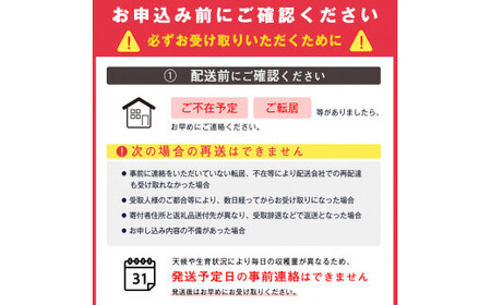 《温室栽培》令和7年産 山形県産 さくらんぼ 「 佐藤錦 」秀品 200g（100g×2パック） 【2025年4月下旬頃から5月下旬頃発送予定】　012-A-MM001