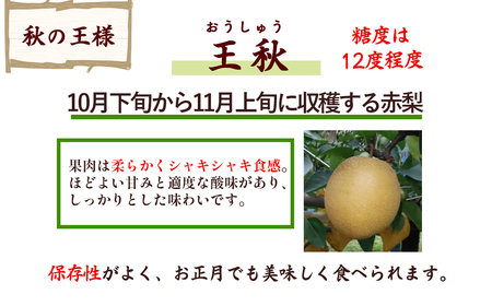 【訳あり】【期間限定】令和8年産 王秋 5kg 倉吉産 福井果樹園 梨 王秋 ブランド梨 果物 フルーツ 和梨 先行予約 数量限定 詰め合わせ