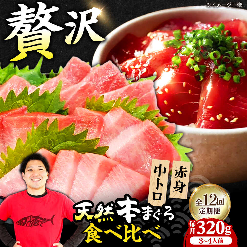 【ふるさと納税】【全12回定期便】極上！たね熟天然本まぐろ赤身＆中トロセット(320g 各160g) 天然 マグロ 鮪 中トロ 刺身 魚 赤身 大阪府高槻市/本まぐろ直売所[AOCE042]