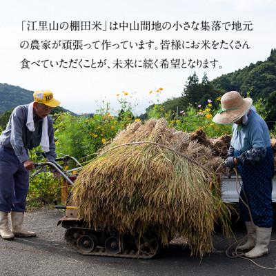 ふるさと納税 小城市 日本の棚田百選選定　江里山(えりやま)の棚田米(5kg) |  | 03