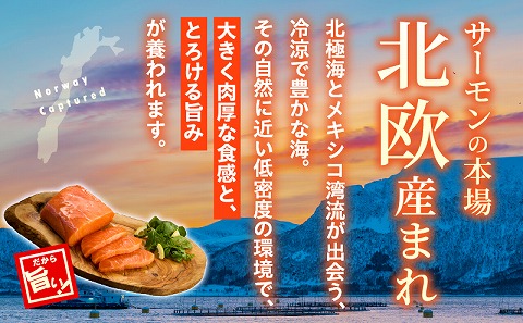 アトランティックプリンスサーモン(プレミアム)1.5kg サーモン 鮭 シャケ 刺身 カルパッチョ