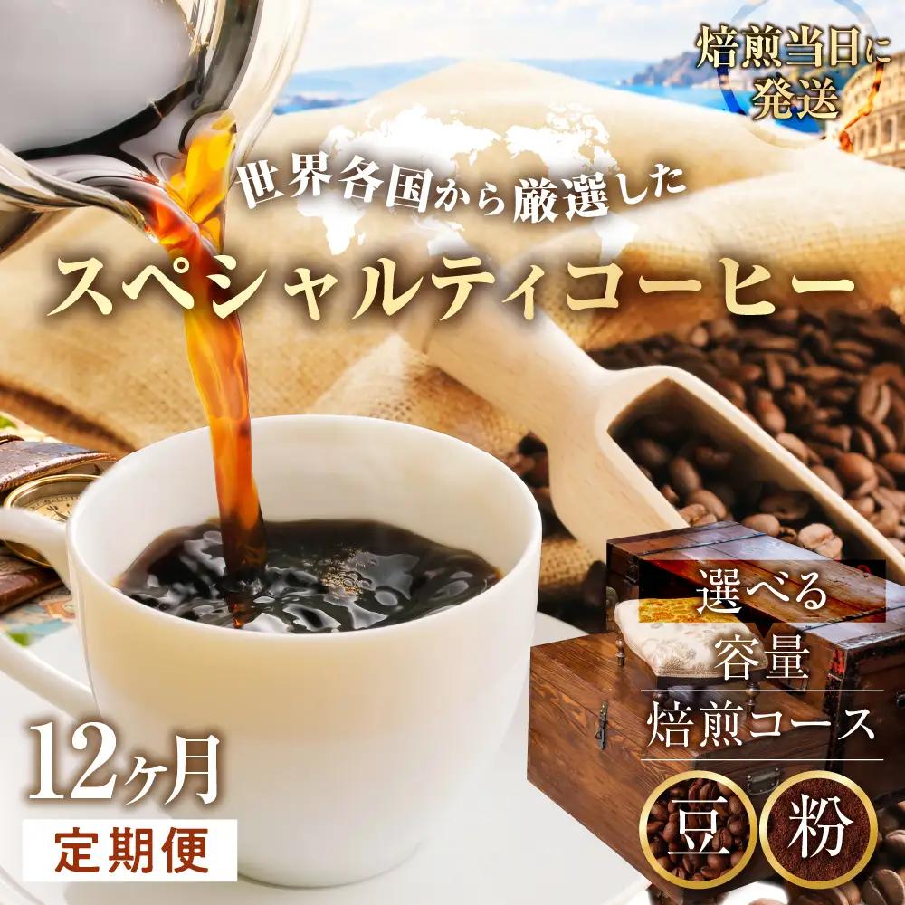 【コーヒー豆定期便12か月】『焙煎幸房“そら”』世界を旅するコーヒー　苦いのは苦手、深煎り抜きコース・粉　200g×2種類