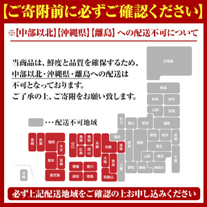 ＜先行予約受付中！2025年9月中旬以降順次発送予定＞期間・数量限定！鹿児島県産 伊勢海老(3尾・計1.0～1.2kg) 国産 鹿児島県産 海老 えび エビ 伊勢海老 刺身 海鮮 海の幸 海産物【福美