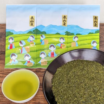 ふるさと納税 静岡市 【茶娘の深むし茶】静岡市産深むし茶100g『10+1本』合計1.1kg |  | 01