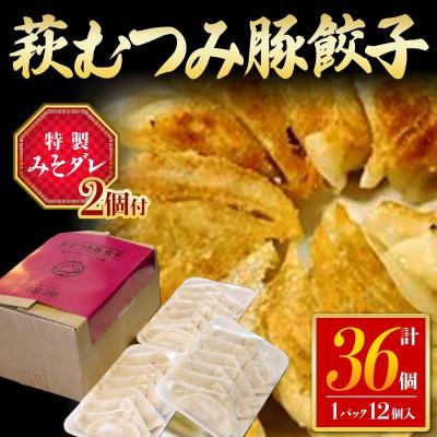 ふるさと納税 山陽小野田市 【ご自宅用】萩むつみ豚餃子(36個)※特製みそダレ付
