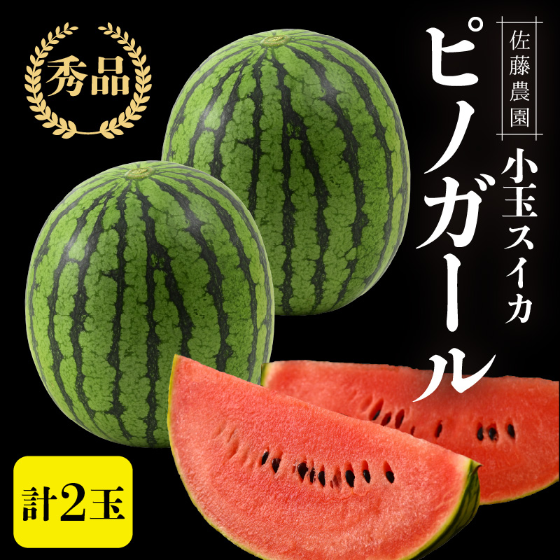 【先行予約】佐藤農園の小玉スイカ ピノガール 2玉（計3kg以上）／福井県 あわら市 フルーツ 夏 果物 西瓜  秀品 農家直送 有機肥料 低農薬 佐藤農園　※2026年6月上旬より順次発送予定 [aw069-a008]