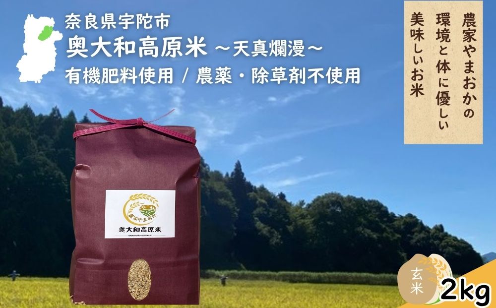 天真爛漫 奥大和高原米 ＜令和7年産 玄米 2kg＞ ／ ふるさと納税 無農薬 米 お米 こめ コメ 国産 新米 玄米 一等米 農家やまおか 有機肥料使用 農薬不使用 除草剤不使用 奈良県 宇陀市