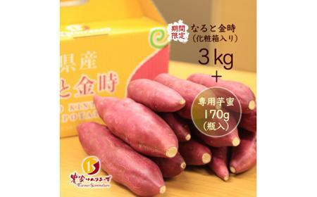 【期間限定】なると金時3kg（贈答用秀品）・専用芋蜜付き（9月上旬より順次発送）