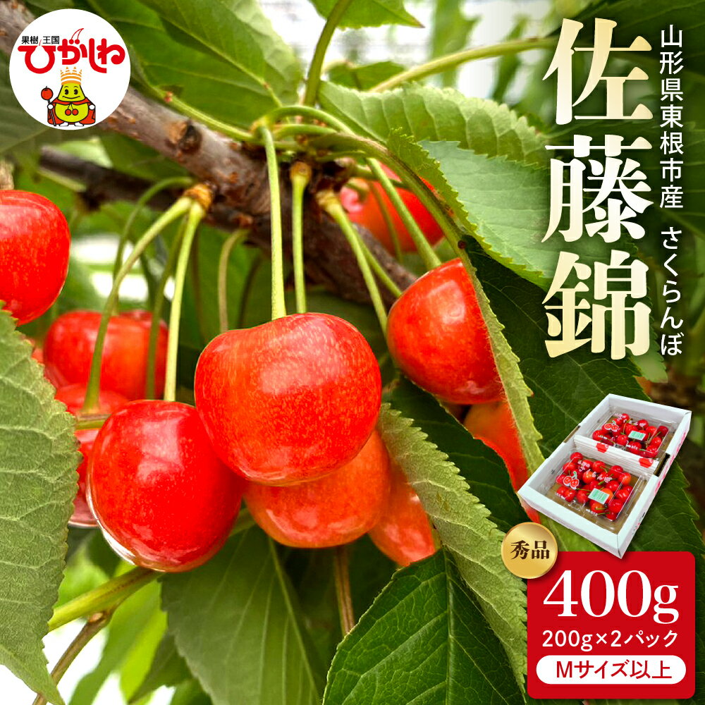 【ふるさと納税】 2026年産 さくらんぼ 佐藤錦 秀品 400g ( 200g × 2パック )| サクランボ フルーツ 果物 くだもの 小分け 箱入り 化粧箱 特産 直送 送料無料 期間限定 大容量 冷蔵配送 先行予約 人気 おすすめ 山形県 東根市