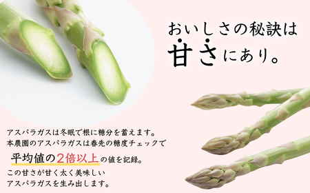 先行予約 アスパラガス レギュラー(L)  約1kg [2024年5月上旬から順次発送予定] ご家庭で調理しやすいサイズの アスパラガス 新潟県産 アスパラガス ［飯塚農園］【011S019】