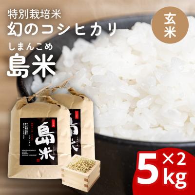ふるさと納税 三条市 新米 新潟県特別栽培米 コシヒカリ10kg 玄米「島米(しまんこめ)」 令和7年産【030S101】