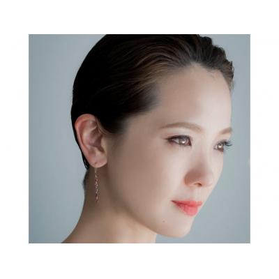 ふるさと納税 甲府市 Dariaピアス 685387 |  | 03