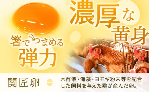 【定期便12か月】関匠卵 たくみ 30個×12か月｜卵 30個 赤玉 玉子 たまご 生卵 鶏卵 産みたて 新鮮 濃厚 健康 TKG たまごかけごはん ご飯のお供 国産 ギフト 贈答 贈り物 お中元 お