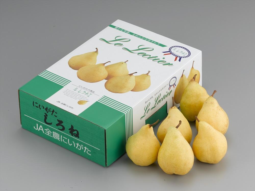 【2025年先行受付】新潟県産 西洋梨 ル・レクチェ 贈答用2kg 期間限定2025年12月上旬～12月下旬まで出荷予定