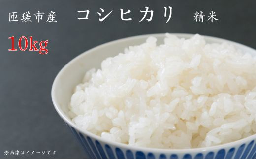 匝瑳市産　コシヒカリ　精米　10kg ／ 米 こめ コメ お米 おこめ コシヒカリ こしひかり 令和7年 新米 白米 精米 ごはん 10kg 送料無料