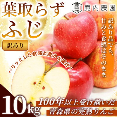 【ふるさと納税】【訳あり】りんご 「葉取らずふじ」 約10kg ((約32～40個) 青森市 産地直送【配送不可地域：離島】【1293216】