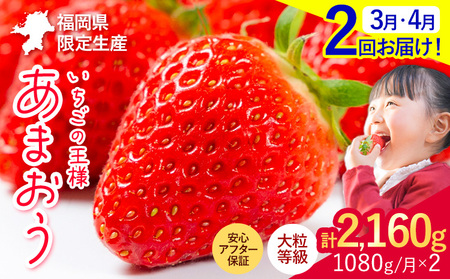【2ヶ月定期便】あまおう 1080g (270g×6パック) 【着日指定不可】《3月・4月頃出荷予定》 いちご