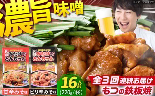 【3回定期便】岐阜県産豚もつの鉄板焼き「元祖みたけとんちゃん」甘辛＆ピリ辛 各4袋（16人前） / モツ もつ 白もつ ホルモン / 御嵩町 / 藤よし [AVAA015]