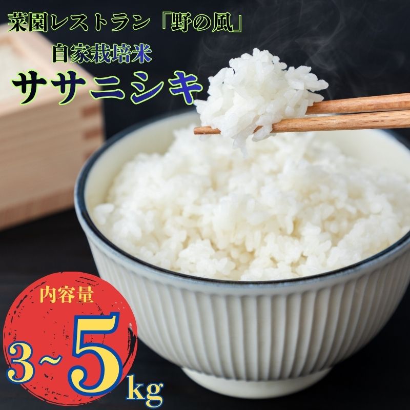 【ふるさと納税】米 菜園レストラン「野の風」自家栽培米 ササニシキ3kg or 5kg 令和7年産