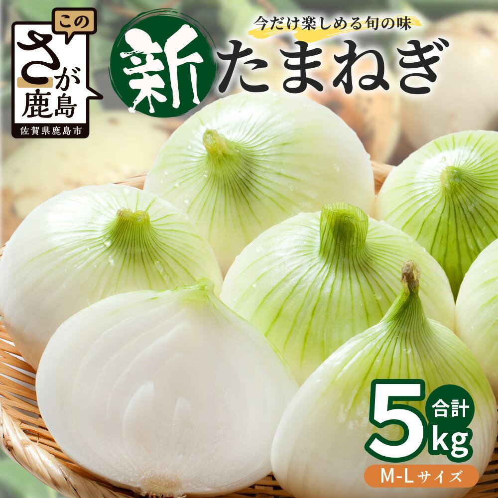 【ふるさと納税】 甘〜い！新たまねぎ 約5kg (MLサイズ）生産者直送！★大自然育ち【2026年4月より順次発送】タマネギ 玉葱 新タマ 新玉ねぎ サラダ 惣菜 お料理 ストック 箱買 美味しい 甘い 常備野菜 佐賀県 鹿島市産 人気 送料無料 A-180