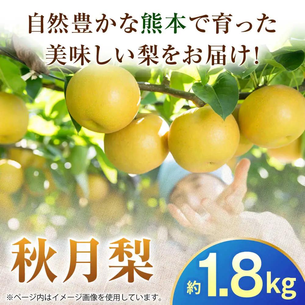 【先行予約】秋月梨　約1.8kg 梨 ナシ フルーツ 果物 【日本フルーツ株式会社】[ZFJ061]