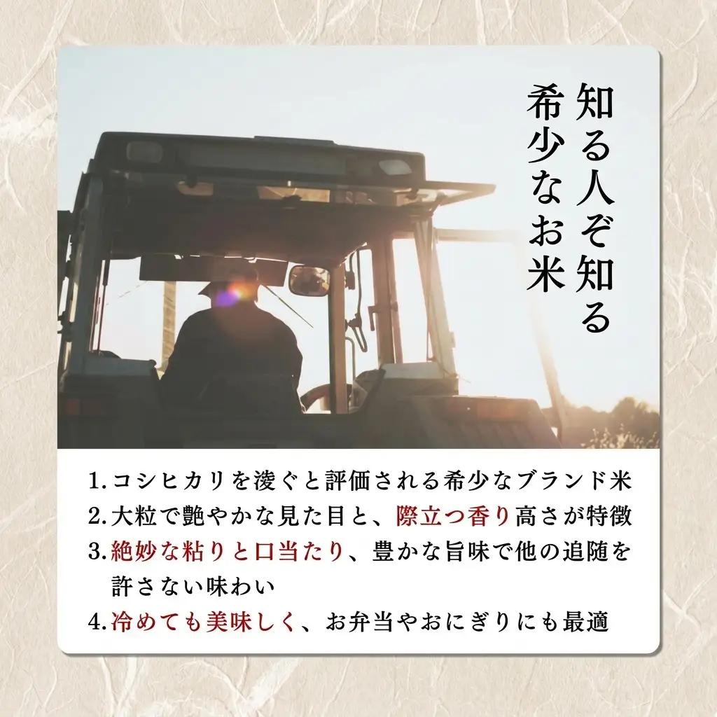 【令和8年12月配送】新米予約 みずほの輝き 5kg 新米 新潟県産