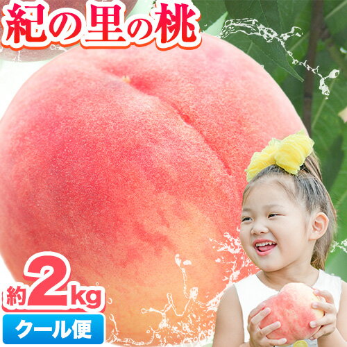 【ふるさと納税】【2026年出荷分先行予約】あふれる果汁で口いっぱい！甘くてジューシーな桃 和歌山県産 紀の里の桃 約2kg (6〜8玉) 《2026年6月中旬-8月中旬頃出荷》 2026年 先行予約 紀の里の桃 白鳳 日川白鳳 なつっこ 清水白桃 川中島白桃 和歌山 もも クール便 ギフト