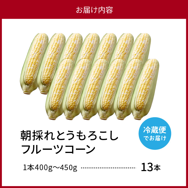 【令和8年産】とにかく甘い、朝採りとうもろこし「フルーツコーン」 13本 【かほくらし社】