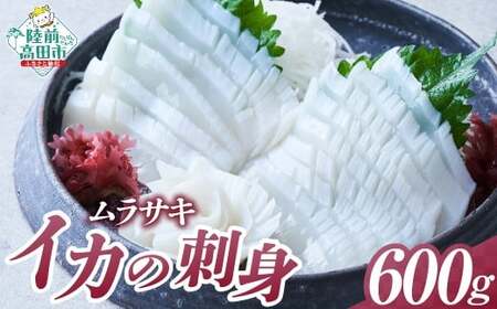 【スライス済】 国産ムラサキイカ スライス 120g(20枚)×5パックセット いか