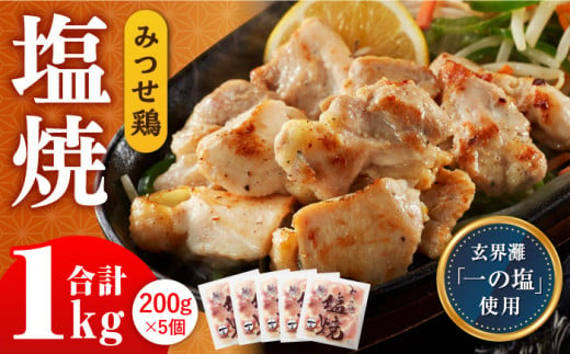 
人気ブランド鶏の逸品！赤鶏「みつせ鶏」塩焼 1kg（200g×5袋）【ヨコオフーズ】[FAE040]
