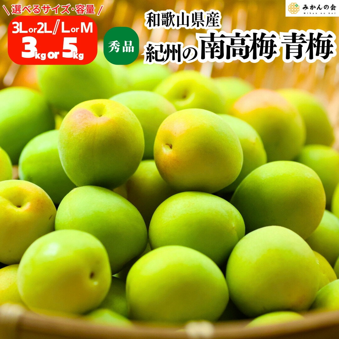 【ふるさと納税】【2025年6月上旬出荷】青梅 南高梅 秀品 和歌山県産 A品 梅酒作り用 梅ジュース作り用 | 梅 うめ 南高梅 完熟 生梅 秀品 和歌山県 梅酒用 梅干用 梅シロップ 梅ジャム 送料無料 お土産 取り寄せ