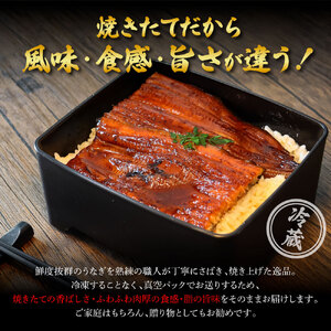 特選うなぎの蒲焼き３尾（特製タレ付き）ヤマシン