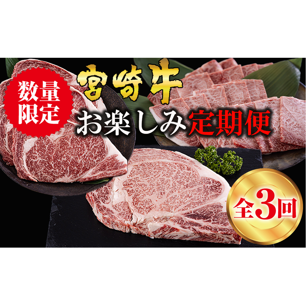 3回 定期便 宮崎牛 ロースステーキ 600g 肩焼肉 400g ワンポンドステーキ 454g [日本ハムマーケティング 宮崎県 美郷町 31bd0023] 冷凍 送料無料 国産 黒毛和牛 A5 A4