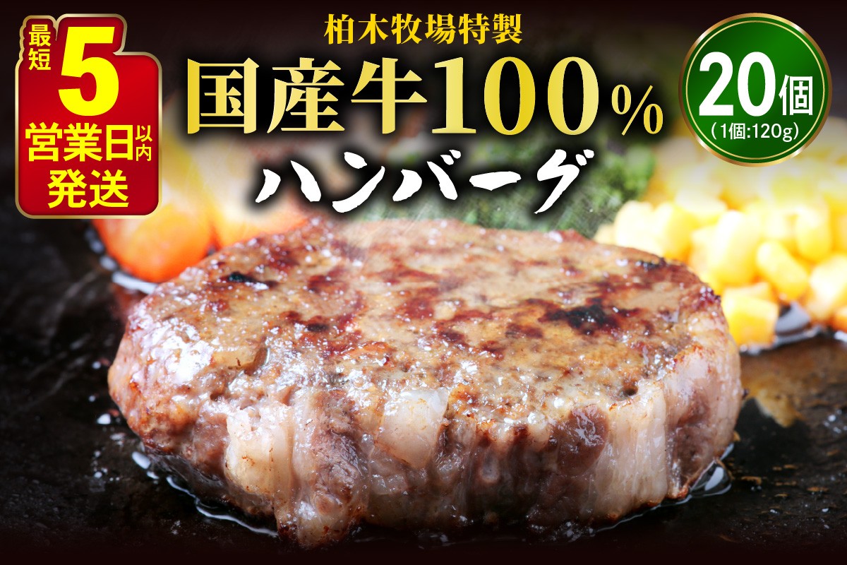 
[ジュワッと肉汁まで美味い！] 柏木牧場特製 国産牛100%ハンバーグ (120g×20個) [0068] 伊勢原市 牛肉 特製 ギフト 神奈川県 贈り物 人気 お土産 正月 肉の日 バーベキュー パーティ 冷凍便 惣菜 肉 焼くだけ

